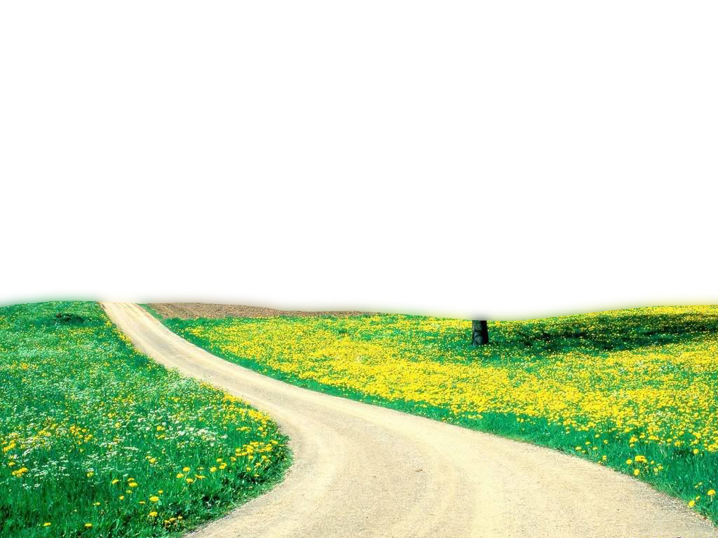 Nature Transparent PNG Image