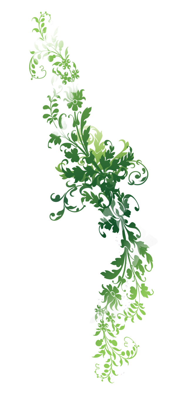 Nature Transparent PNG Image