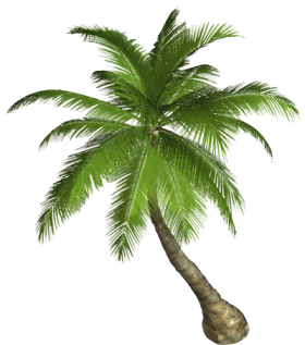 Nature Transparent PNG Image