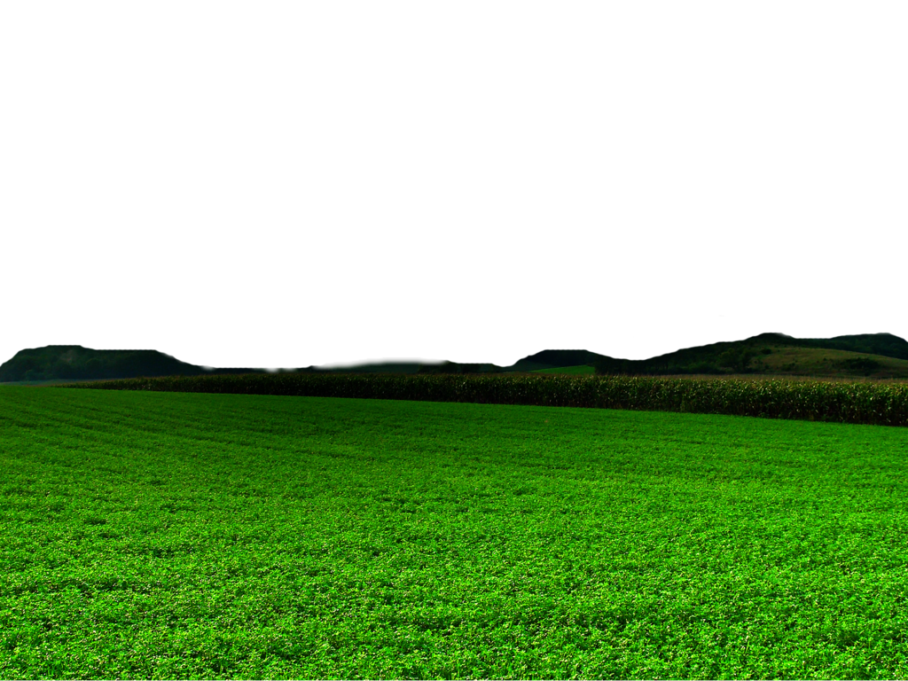 Nature Transparent PNG Image