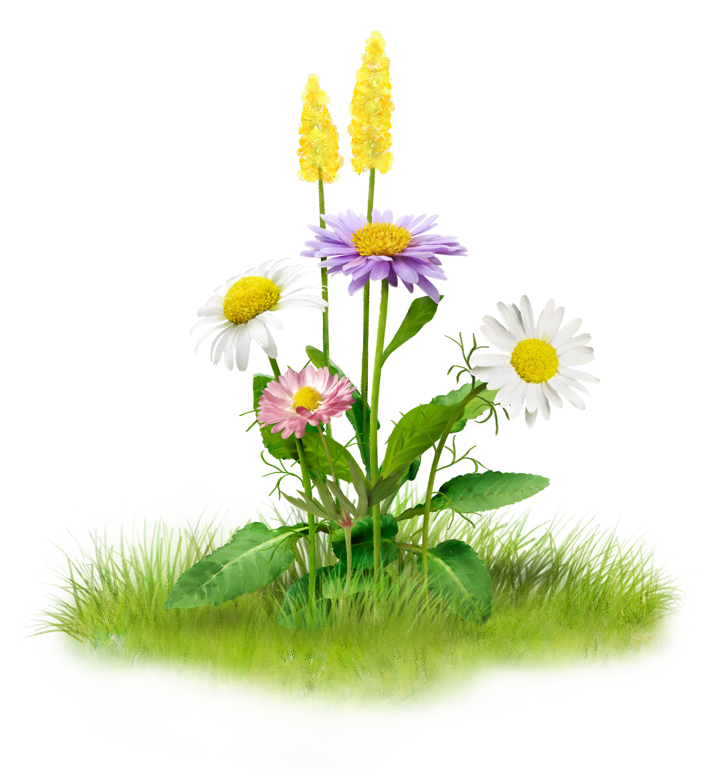 Nature File Transparent PNG Image