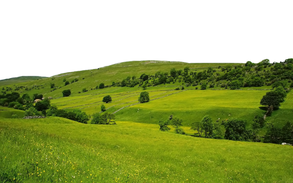 Nature Transparent PNG Image
