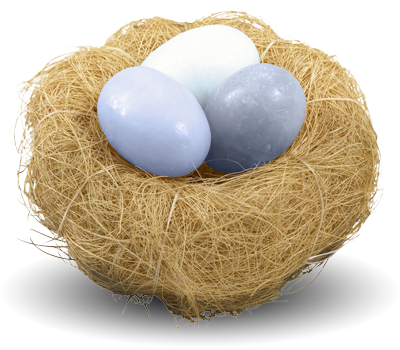 Nest Transparent PNG Image