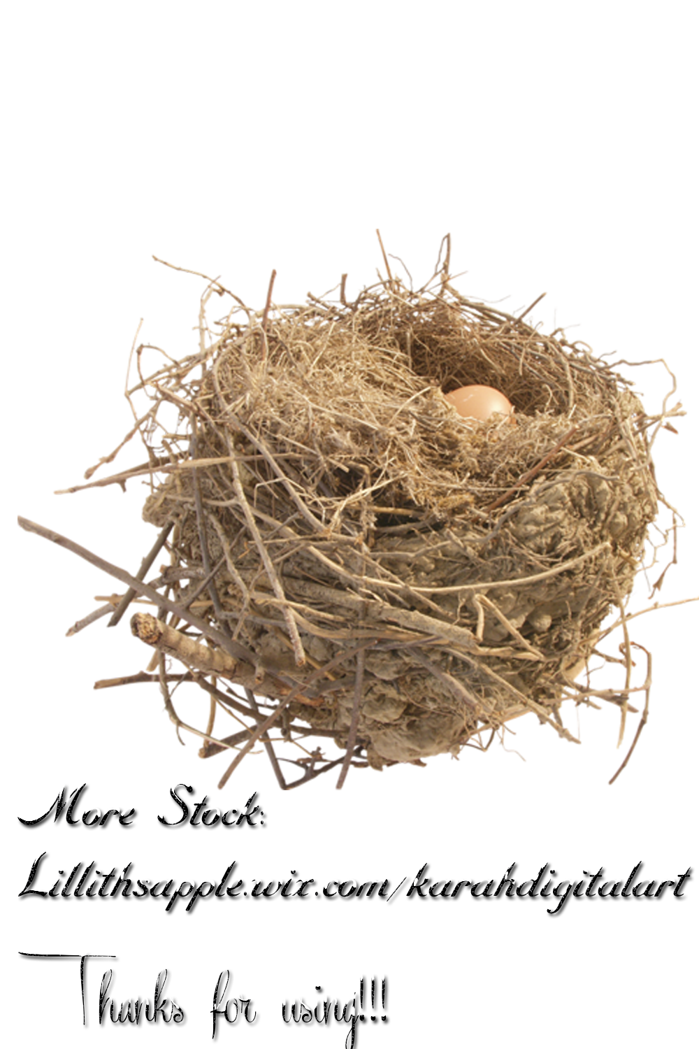 Nest Transparent PNG Image