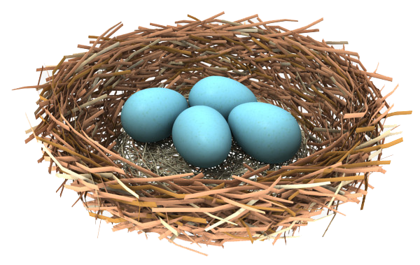 Blue Eggs Nest Bird Transparent PNG Image