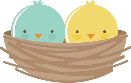 Nest Bird Transparent PNG Image