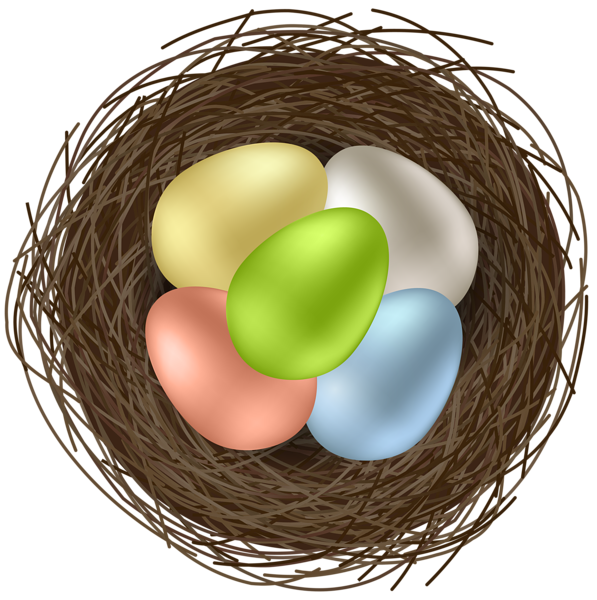 Eggs Nest Bird Colorful Transparent PNG Image