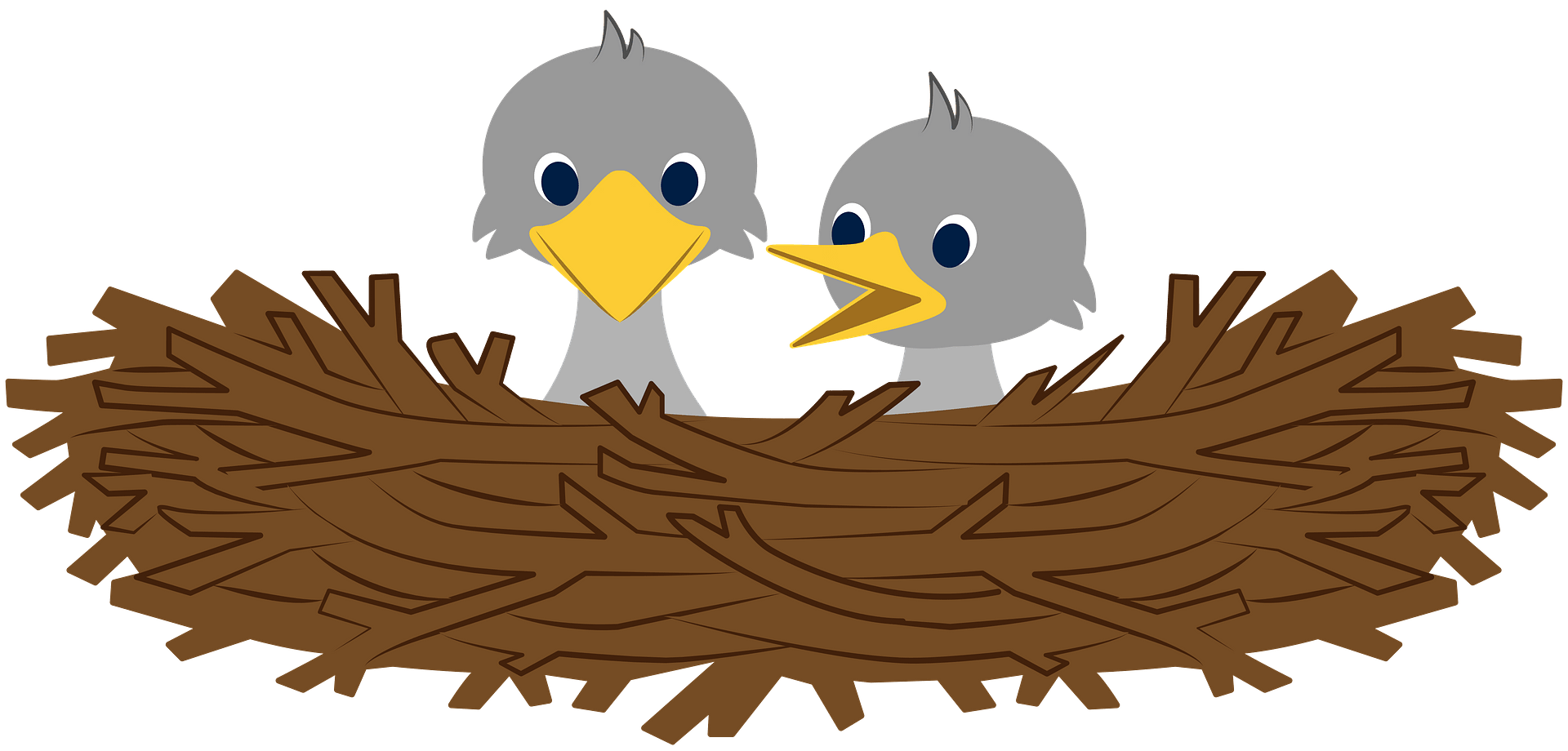 Nest Hatchlings Bird Transparent PNG Image