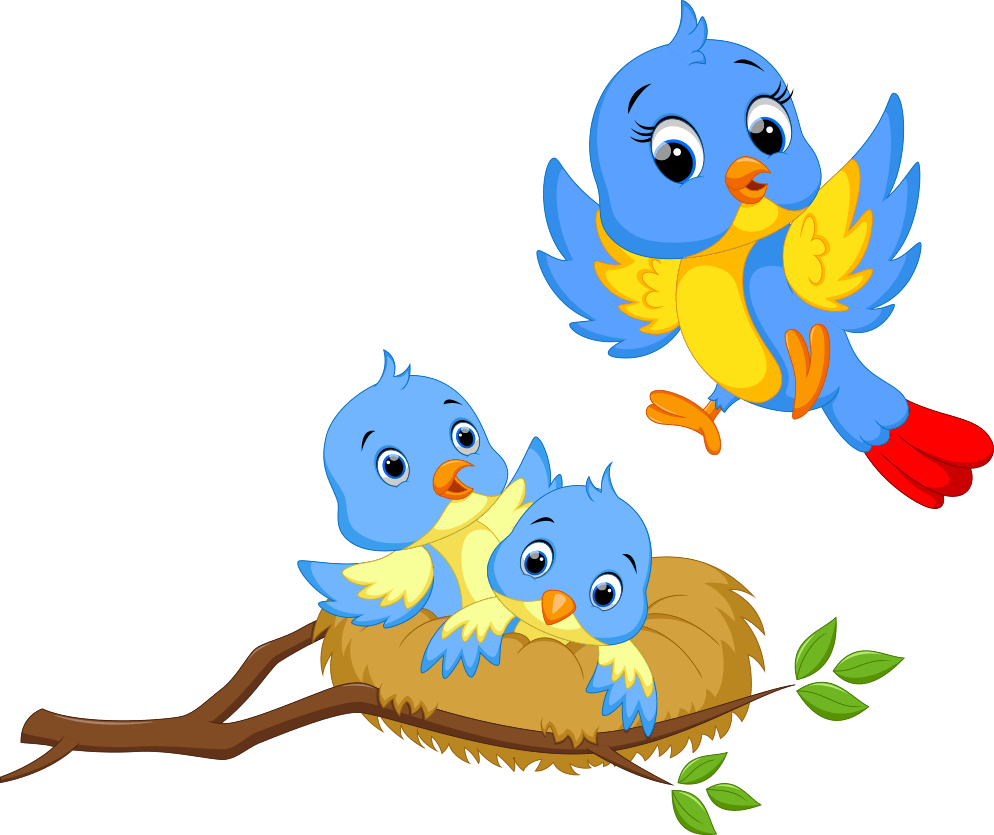 Nest Vector Bird Transparent PNG Image
