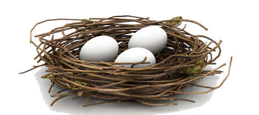 Eggs Nest White Bird Transparent PNG Image