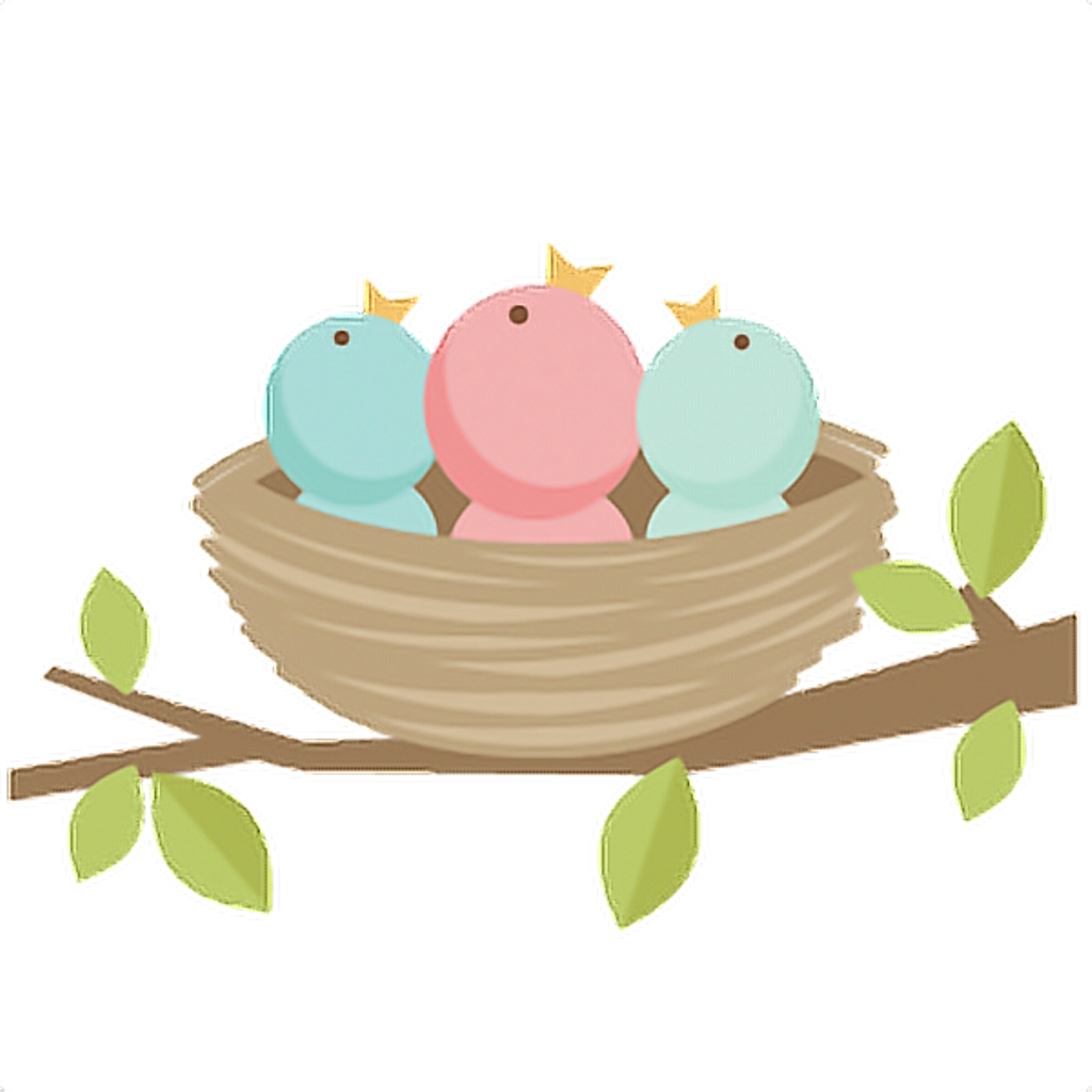 Nest Bird Transparent PNG Image