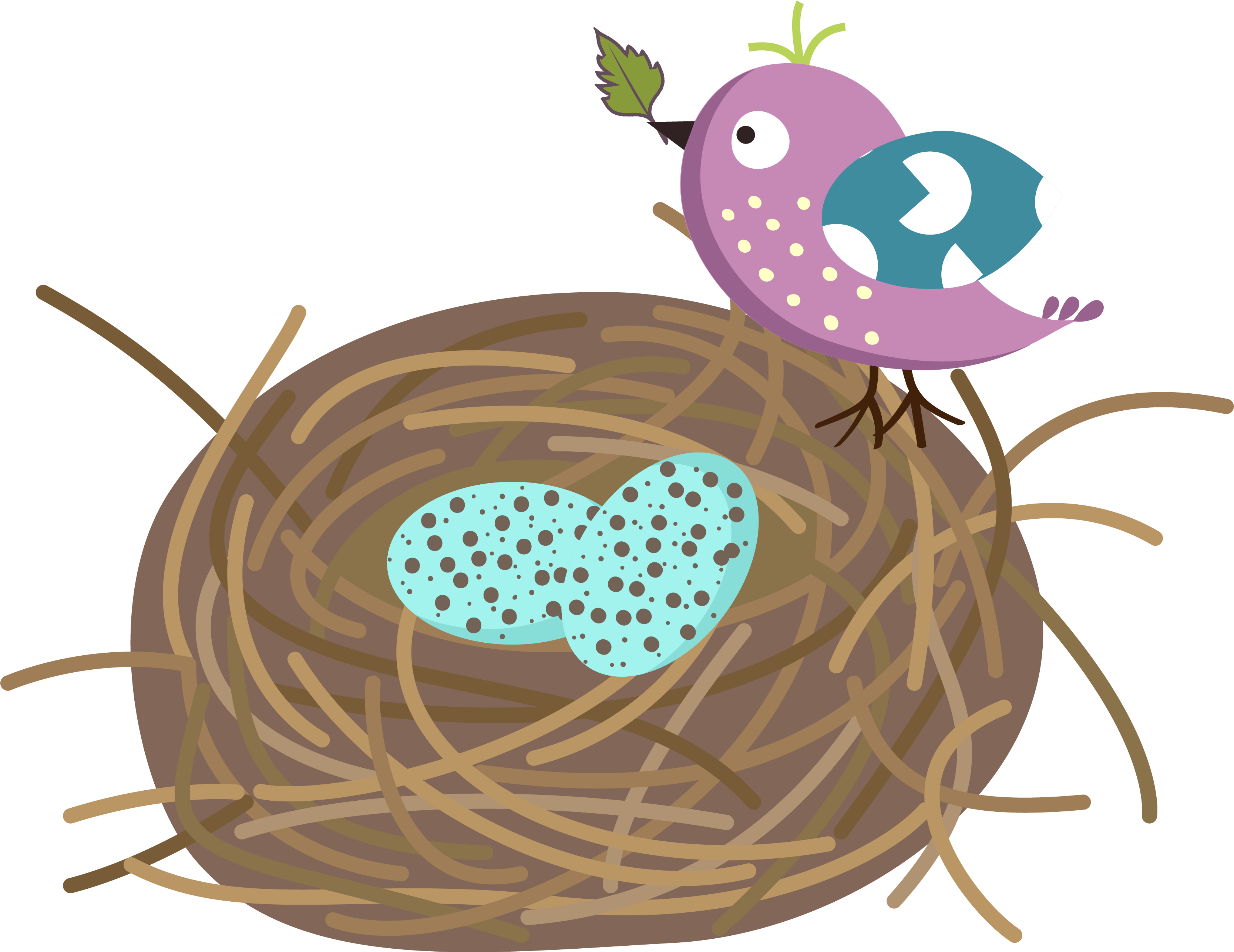 Nest Vector Bird Transparent PNG Image