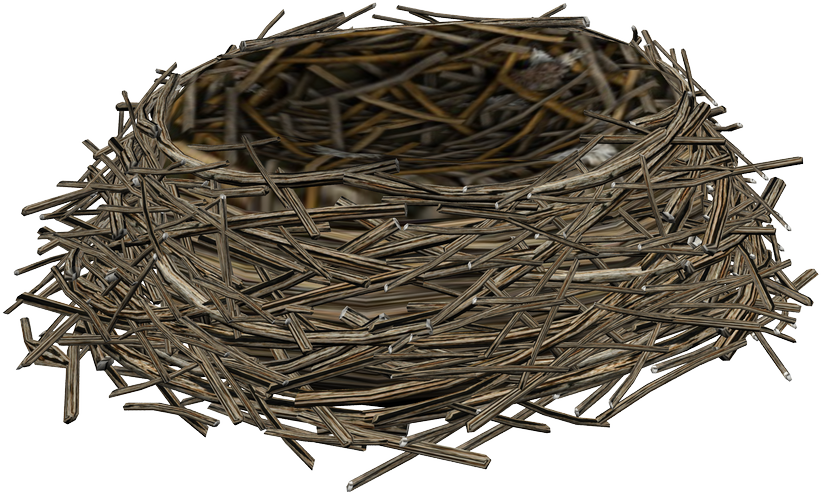 Nest Bird Empty Transparent PNG Image