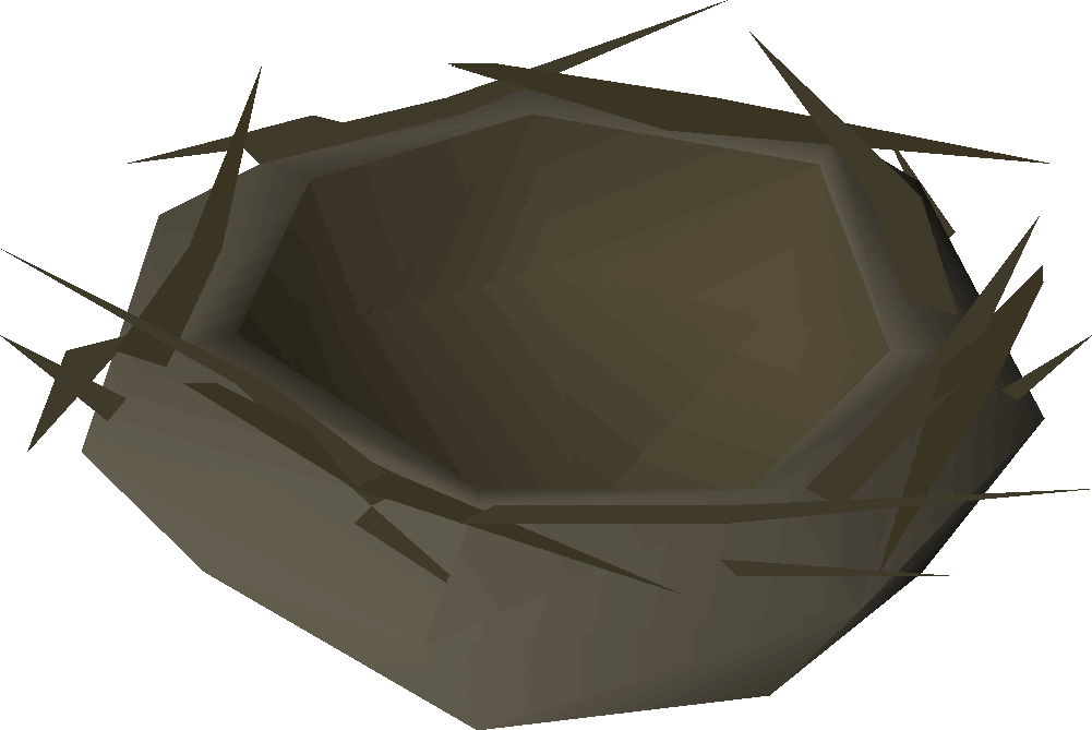 Nest Vector Bird Empty Transparent PNG Image