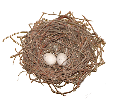Nest Transparent PNG Image