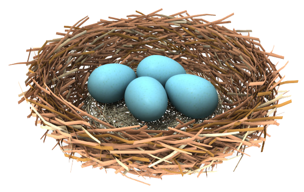 Nest Transparent PNG Image