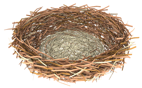 Nest Transparent PNG Image