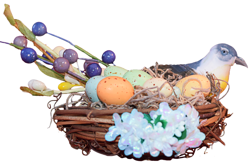 Nest Transparent PNG Image