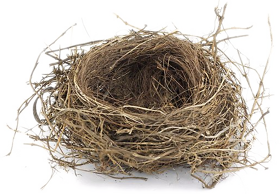 Nest Transparent PNG Image