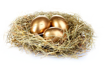 Nest Transparent PNG Image