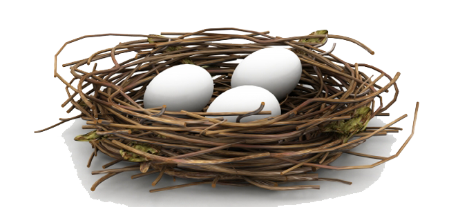 Nest Transparent PNG Image
