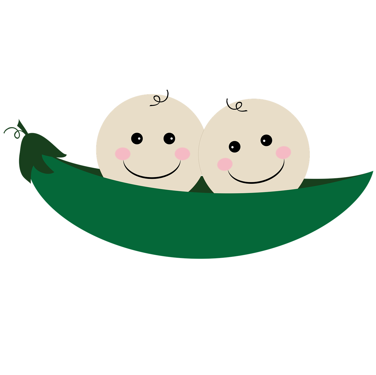 Twin Transparent PNG Image