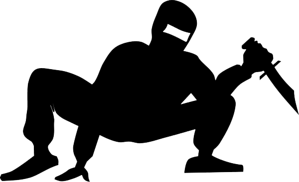 Ninja Transparent PNG Image