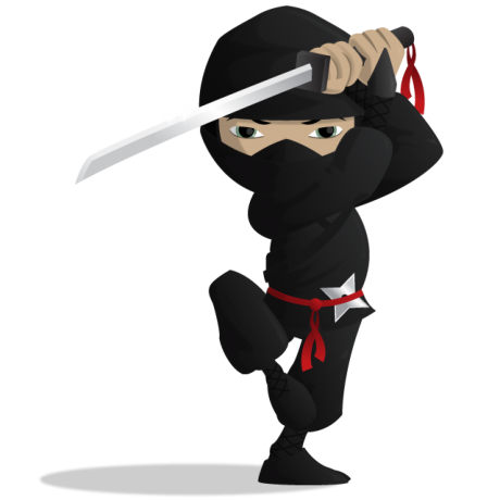 Ninja Transparent PNG Image