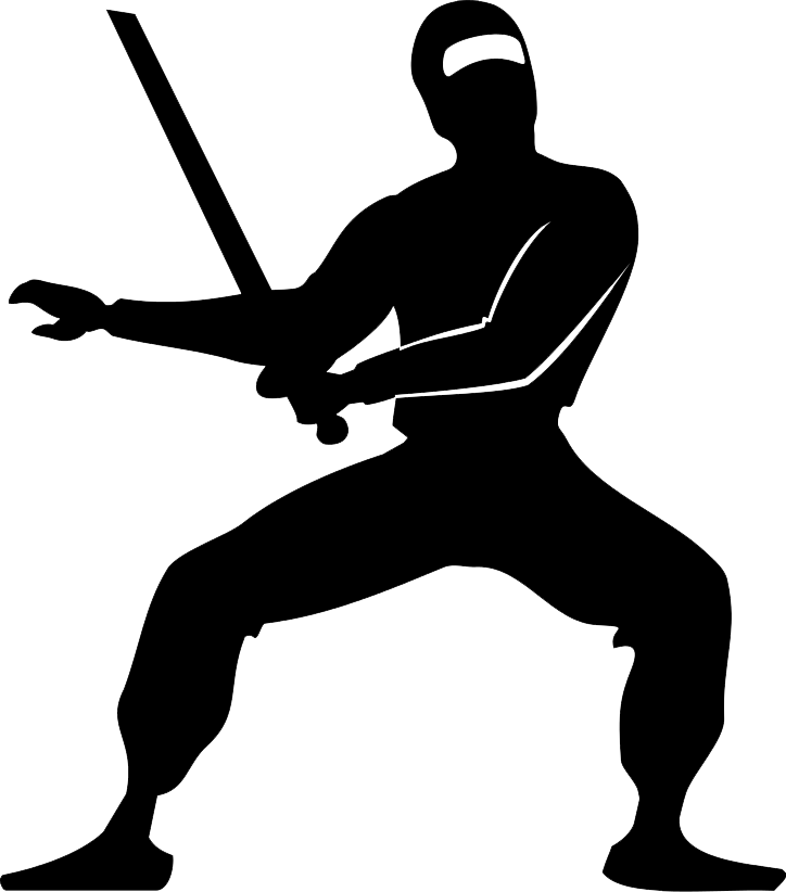 Ninja File Transparent PNG Image
