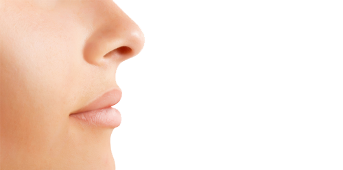 Nose Transparent PNG Image