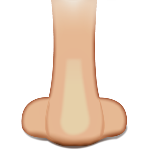 Nose Background Transparent PNG Image