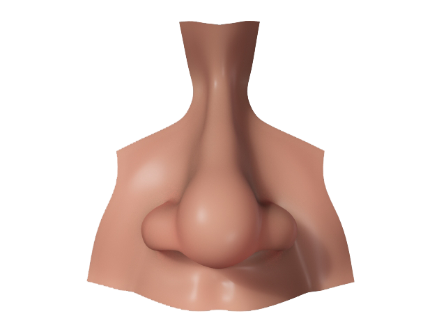 Nose Transparent PNG Image