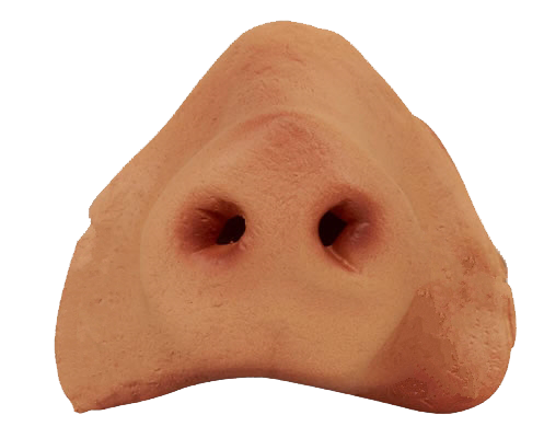Nose Transparent PNG Image