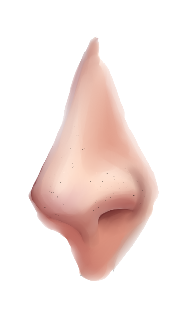 Nose Transparent PNG Image