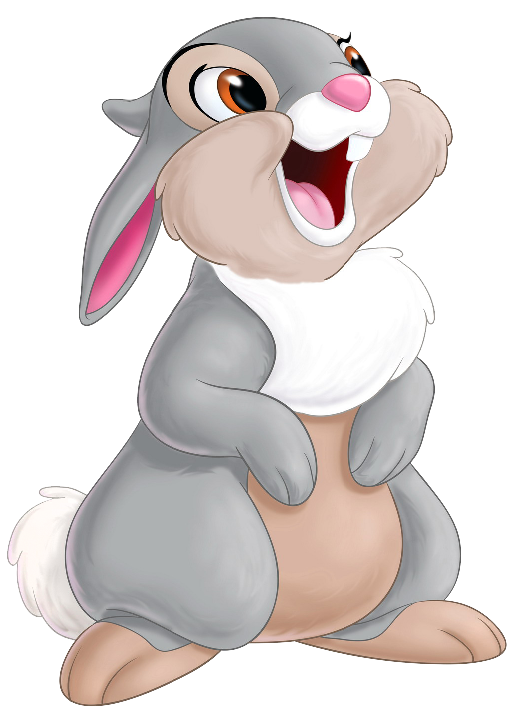 Bambi Thumper Faline Transparent PNG Image