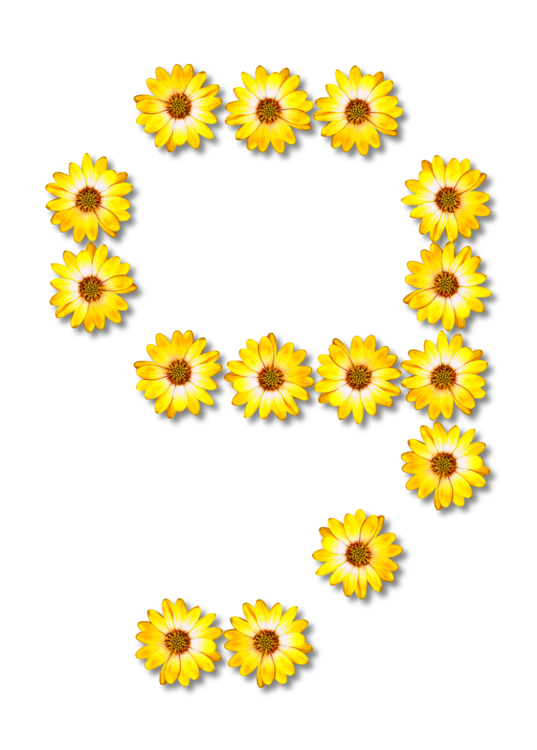 Floral Number Transparent PNG Image