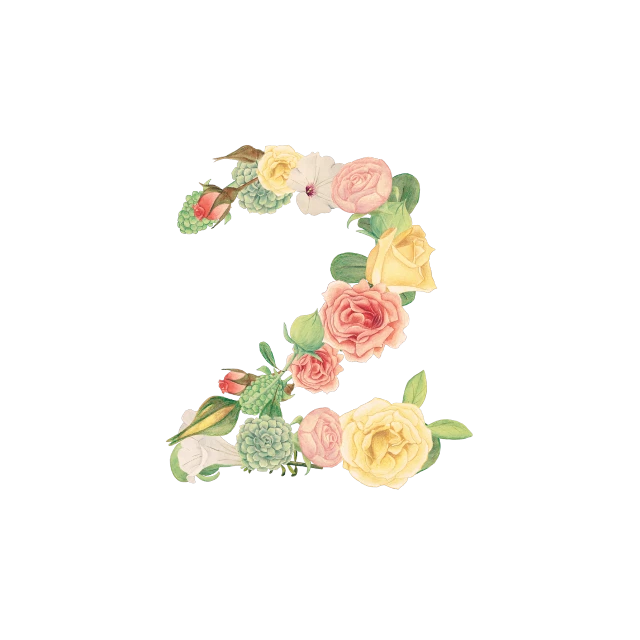 Floral Number Transparent PNG Image