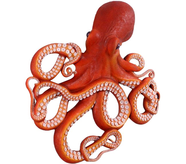 Octopus Transparent PNG Image