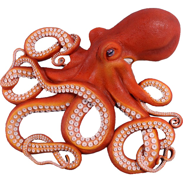 Octopus Transparent PNG Image