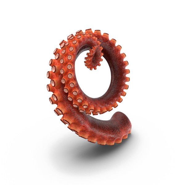 Octopus Tentacles Transparent PNG Image