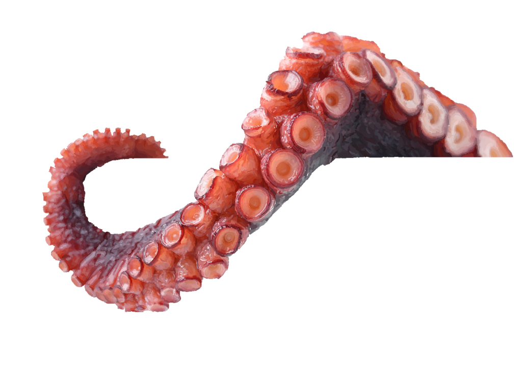 Octopus Tentacles Transparent PNG Image