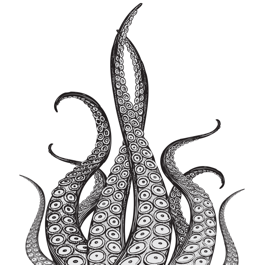 Octopus Tentacles Transparent PNG Image