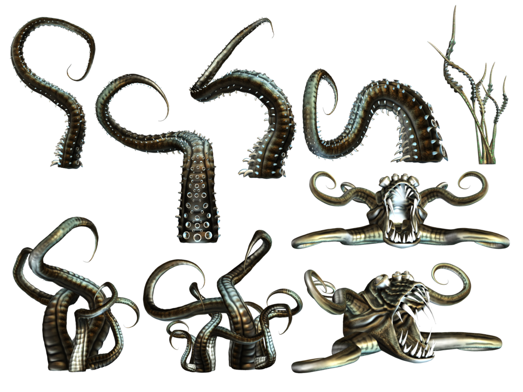 Octopus Tentacles Transparent PNG Image