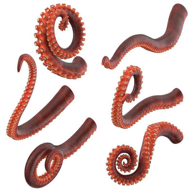 Octopus Tentacles Transparent PNG Image