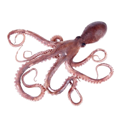 Octopus Toy Transparent PNG Image