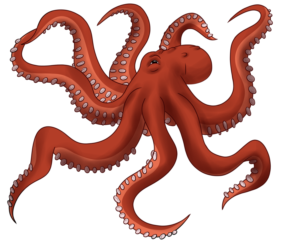 Octopus Toy Transparent PNG Image
