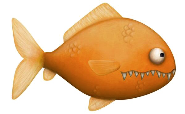 Goldfish Transparent PNG Image