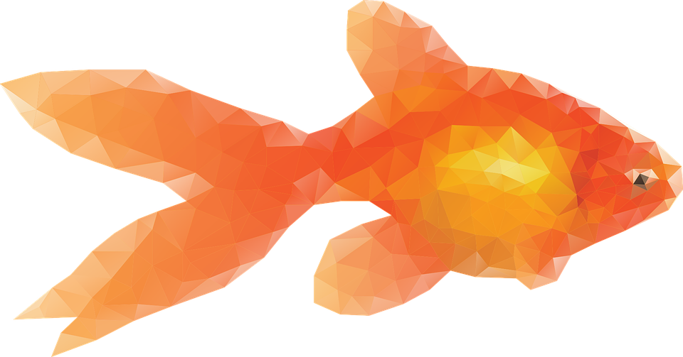 Goldfish Transparent PNG Image