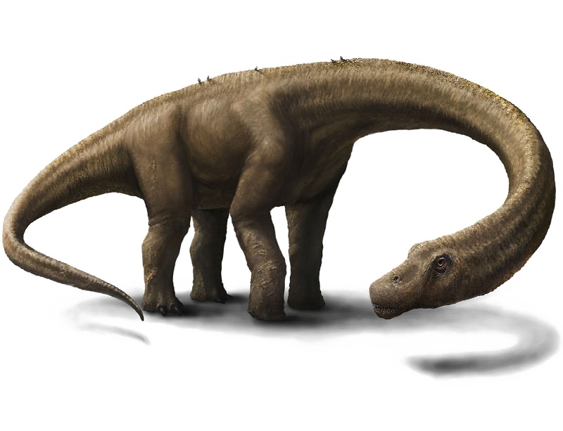 Dinosaurs Transparent PNG Image