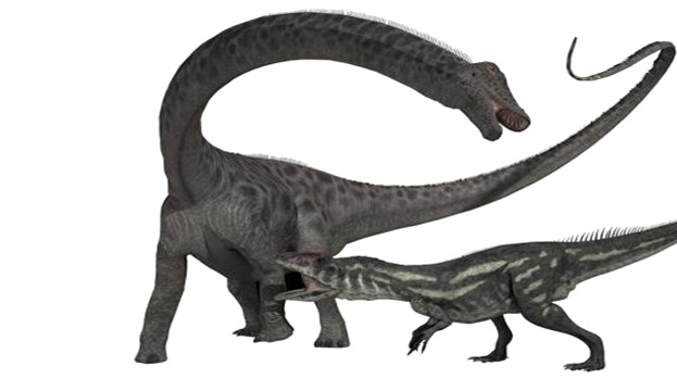 Diplodocus Transparent PNG Image